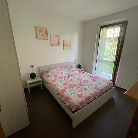 Super Rose * Lazise