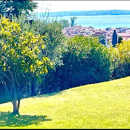 Super Rose * Lazise